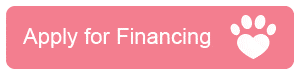 Apply for Puppies Financing - Terrace Finance